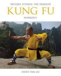 kung fu by shi shifu yan lei at low