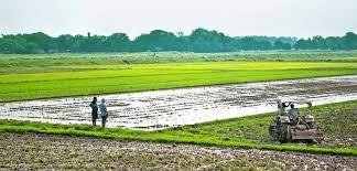 भारत में कृषि आय पर नहीं लगता टैक्स, पढ़िए एेसी ही कई अहम जानकारियां