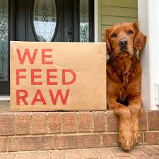affordable raw dog food