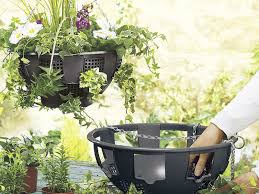 Winter Hanging Baskets