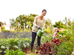 Garden And Harvest The Health Benefits