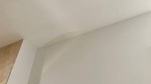 ceiling show signs of water damage