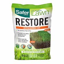 the best organic lawn fertilizers of 2024