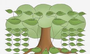 Create Family Trees Online Bino 10terrains Chart Information