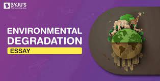 environmental degradation essay essay