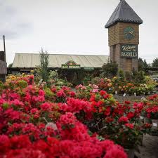 seven top rated garden centres to visit