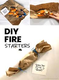 17 Homemade Diy Fire Starters You Can