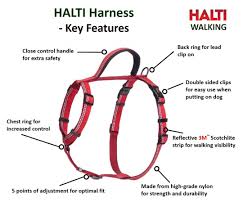 Halti Walking Harness Company Of Animals
