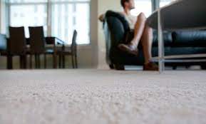 raleigh carpet cleaning deals in and