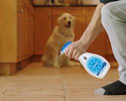 h the pet odor remover that