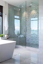 Enclosures Frameless Shower Door