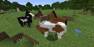 how-do-you-make-a-baby-horse-in-minecraft