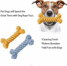 bone cotton rope dog chew toy at rs 70