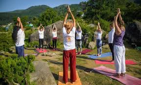 200 hour vinyasa yoga teacher training