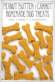 carrot homemade dog treats
