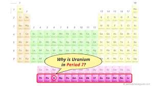 uranium u periodic table element