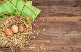 I was selected by the future parent (s). How To Sell Backyard Chicken Eggs The Happy Chicken Coop