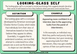 Looking Glass Self 10 Examples And