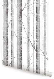Birch Tree Wallpaper L And Stick