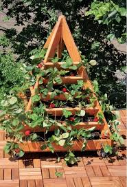 Pyramid Strawberry Planter Plans Diy