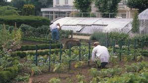 Tips From A French Kitchen Garden