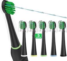 replacement toothbrush heads for water