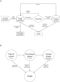Flow Chart Of The Conceptual Model Screening A And