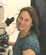 Associate Professor Barbara Nowak - bnowak