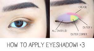 how to apply eyeshadow eye anatomy
