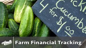 How I Track My Farm Finances Ama S3 E1