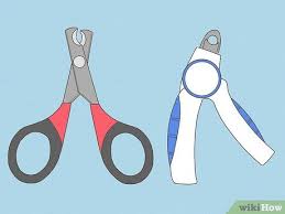 how to trim your cat s nails step by