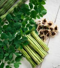 9 suprising benefits of moringa leaves