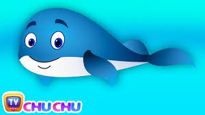 blue whale nursery rhyme chuchutv sea