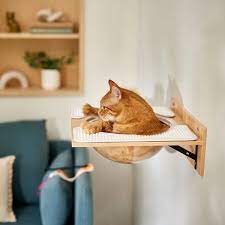 Frisco Acrylic Bowl Wall Mounted Cat