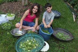 Outdoor Kitchen Garden With Your Kids