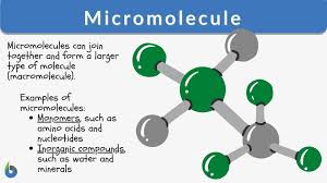 micromolecule definition and exles