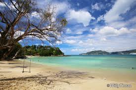 Make memories to last a lifetime at paradise beach. Paradise Beach Phuket In Der Nahe Von Patong Beach Phuket 101
