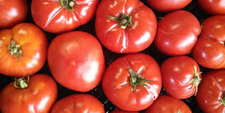 tomato gardening tips for epic tomatoes