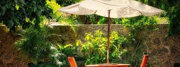 They also come in a wide range of unique colours and stylish materials, adding an excellent feature to your summer garden. Garden Parasol Expert Buyers Guide Top Rated Products