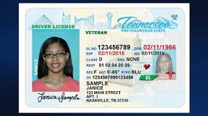 driver s licenses renewed every eight