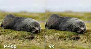 1440p vs 4k which is the better choice