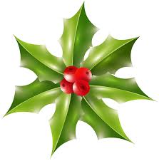 Image result for Xmas holly
