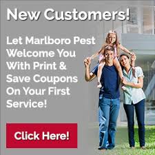Pest proofing and exclusion efforts can include a variety of methods to help prevent entry and reduce exclusions are an important way to prevent pest activity in your pest management program. Exclusion Marlboro Pest