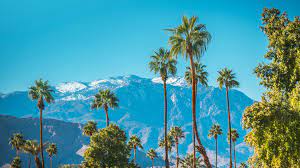 palm springs activities for the winter