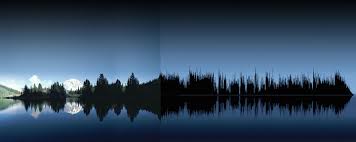 Poetically Beautiful Combinations Pair Nature With Sound Waves