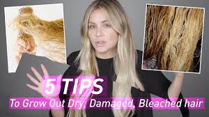 grow out dry damaged bleached hair