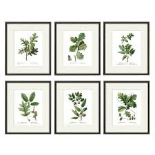 Botanical Print Set Oak Leaf Art Print
