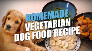 homemade vegetarian dog food recipe