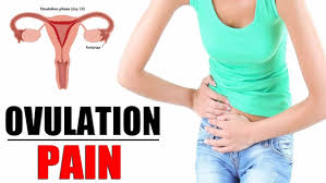 ovulation pain mittelschmerz cause