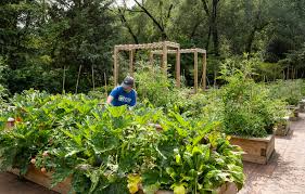 An Inwood Community Garden Reinvents In